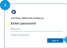 Screenshot of password prompt