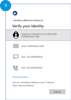 Screenshot of identity verification prompt